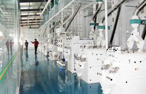 日產(chǎn)250噸成套碾米機設(shè)備